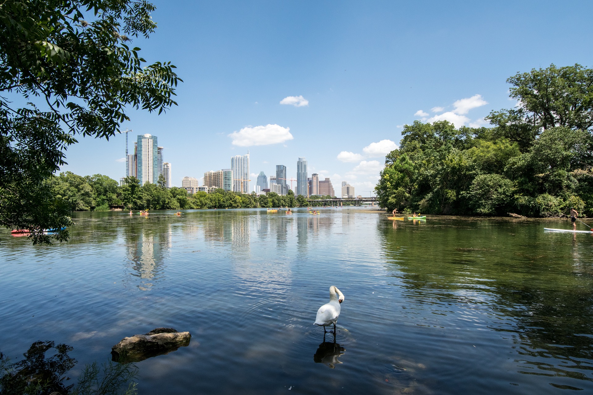 Austin's Town Lake.